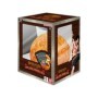 One Piece TCG Devil Fruit Volume 2 Anglais